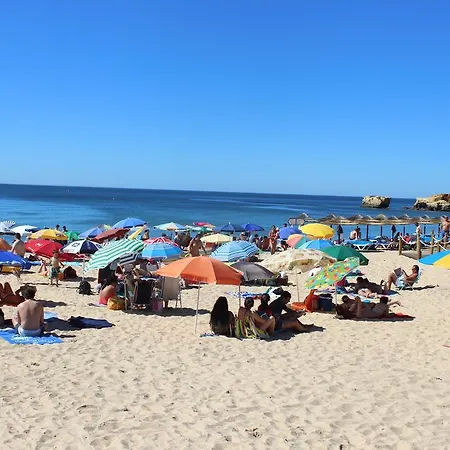 Cip-t2 Navy Albufeira
